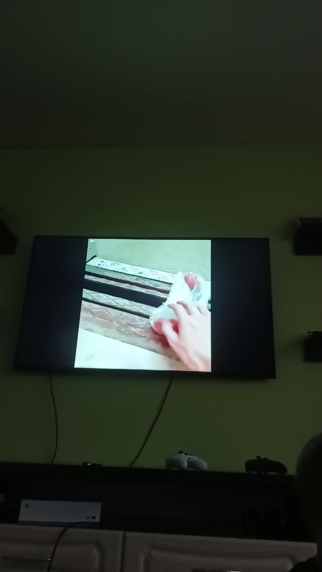 смешные видео