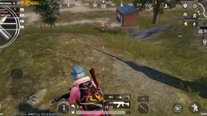пбг