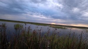 НЕ ЗРЯ ТУДА ЗАБРАЛСЯ ! ОХОТА НА УТКУ С ЧУЧЕЛАМИ.