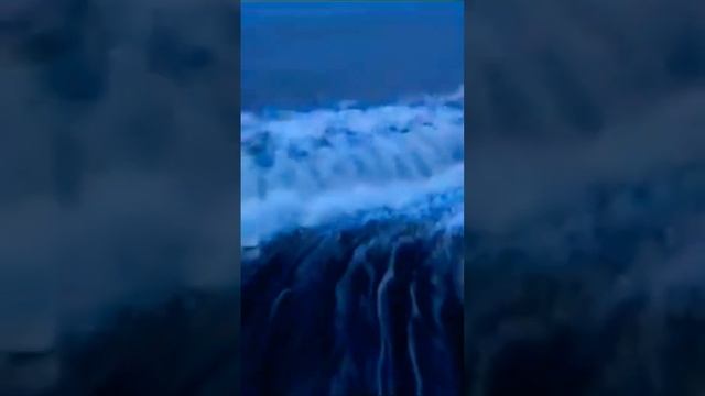 Безопасность Нади #shortsvideo #василисаголд #насилиевсемье #небейте #кризисныйцентр