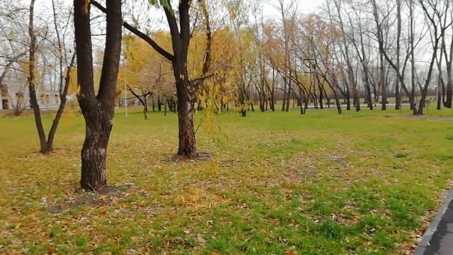 Иду в школу решать вопрос с переломомотмечаем день рождения племяшки