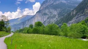 Nida Tüfekçi - Yozgat Sürmelisi