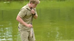 Robert Irwin feeds our awesome gators | Irwin Family Adventures