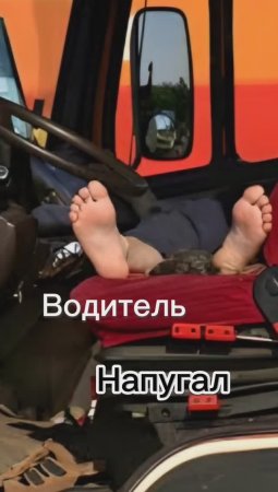 Водитель напугал!!! 🤣🤣🤣😂