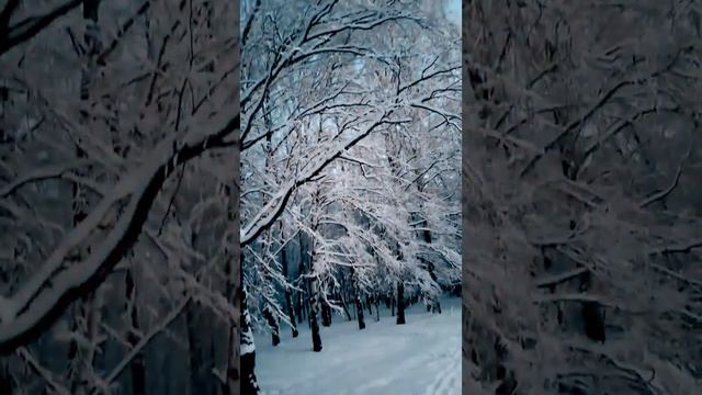 Не хочу детей от тебя! #василисаголд #осознанность #насилиевсемье #storytelling #viralvideo