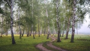 Спросил меня отец