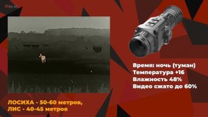 Тепловизионный прицел IRAY SAIM SCP19W   обзор, возможности, тесты на дистанциях