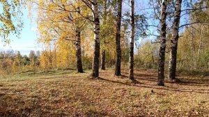 Осень 2022
