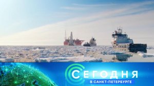 «Сегодня в Санкт-Петербурге»: 8 октября 2024 года