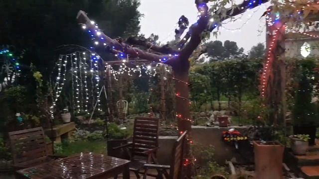 Рождественские песни от Беззубиков/Ливень с грозой в декабре/Ягодный пирог/provenceallochka vlog