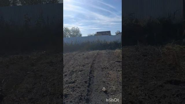 Прошёл участок фрезой, теперь и сажать можно!😉