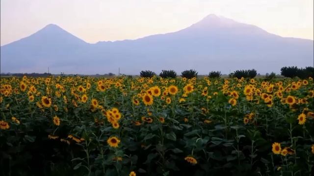 2342-из Гарыныч ВЕТЕР-Собственность Господа!-Հայաստանը անուշ բան է...(дописанное Ереван 10.24 г.)