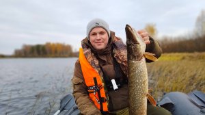 Рыбалка.Осенний жор щуки.Рыбалка на спиннинг.Куча поклевок щуки и окуня на воблер.Уловистый воблер.