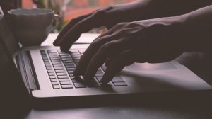 Pexels Videos 1851768