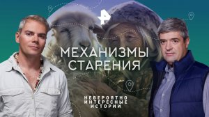 Механизмы старения — Невероятно интересные истории (23.11.2023)