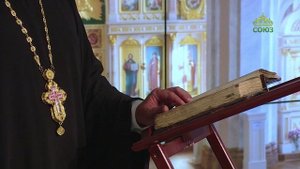 Церковный календарь 9 октября. Преподобный Ефрем Перекомский
