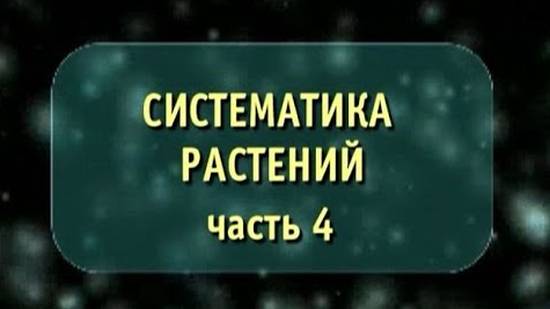 Систематика растений # 4. Семейство пасленовых, сложноцветных злаков, лилейных