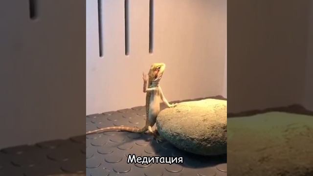 Медитация.