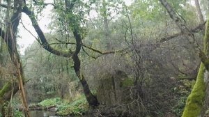 Велопрогулка по ＂дороге тишины＂