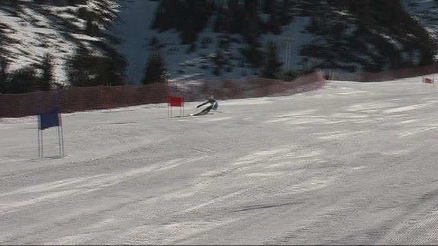 СЕРЕБРЯНЫЙ ЭДЕЛЬВЕЙС