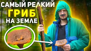 ТИПИЧНЫЙ СРАКОВСК - НАШЕЛ САМЫЙ РЕДКИЙ ГРИБ НА ЗЕМЛЕ 🍄