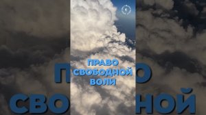 #БлагоВест ✴ ПРАВО СВОБОДНОЙ ВОЛИ