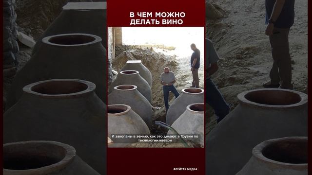 В чем можно делать вино | Фрейтак вино #shorts