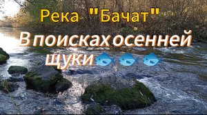 В поисках осенней щуки🐟🐟🐟 на реке "Бачат".#fishing #рыбалка #живец #тренды #рек #река #щука #carp