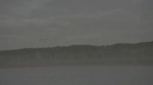 Orionboat 6.0 ProSerias