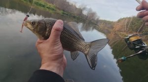 Исеть. Осень. Ультралайт. Рыбалка