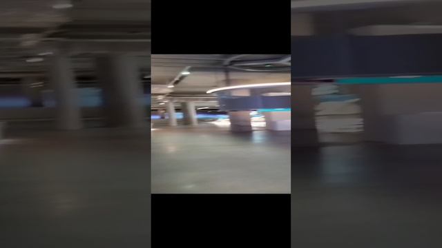 Сибиряки в Питере