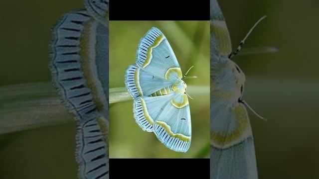 1000073340.mp4 смотреть онлайн