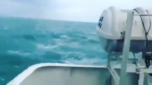 Вот так машины доставляют в Россию из Японии.