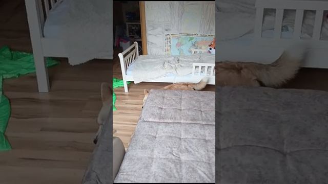 паркур😜😜😜