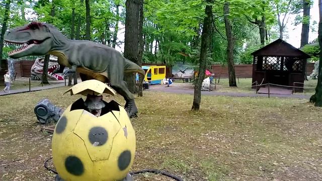 Мой типичный день рождения 20 Июля