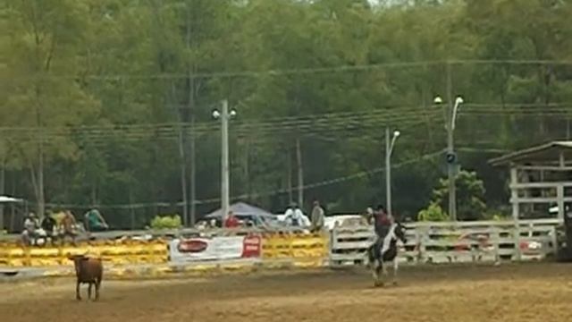 Mateus Santos laço indio.. смотреть онлайн