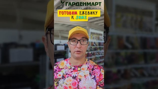 Как подготовить ежевику к зиме? #советысадоводам #ежевика