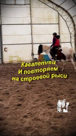 А я напомню, у нас занимаются не  только дети, но и взрослые! 😎
Смело записывайтесь и приезжайте!