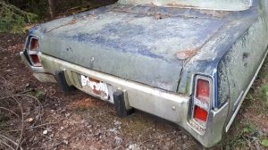 Abandoned and rotting 1973 Chrysler Newport!