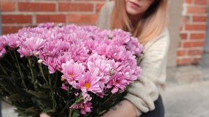 4763859-hd_1920_1080_30fps