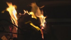 САНАТОРИЙ БЕРЁЗКИ "МУЗЫКАЛЬНЫЕ ИСТОРИИ У КАМИНА"