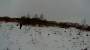 ОХОТА НА ЗАЙЦА с GPS ошейником Artelv Tracker! Охота на зайца с гончими собаками!