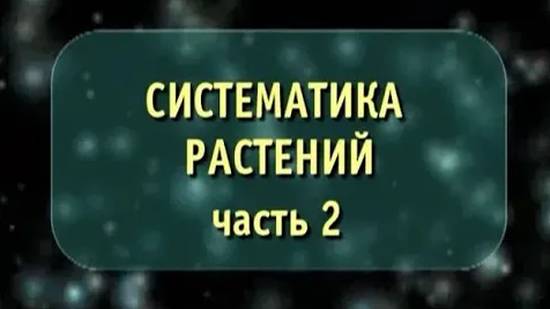 Систематика растений # 2. Отдел голосеменные