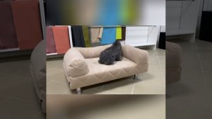 Диван-лежанка для кошек и собак