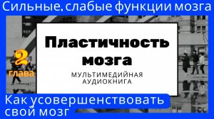 Пластичность мозга. Как усовершенствовать свой мозг. Сильные и слабые функции мозга.