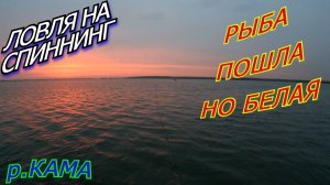 Ловля на джиг. СУДАК молчит, поймали FRAPP. ДРУЗЬЯ, нужна ваша помощь!!!