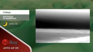 Тепловизионный монокуляр iRay AFFO AP 09