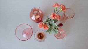 8903849-hd_1920_1080_30fps