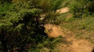 06 05 12г.mp4