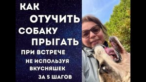 КАК ОТУЧИТЬ СОБАКУ ПРЫГАТЬ НА ВАС ПРИ ВСТРЕЧЕ | вебинар 081024